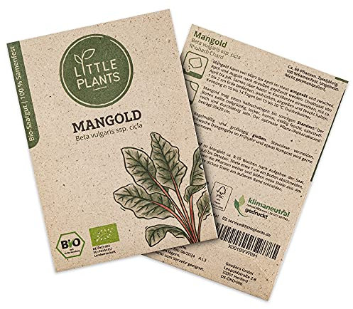 Little Plants BIO Mangold Samen, 60 Mangoldsamen, hohe Keimrate, 100% Natürlich, BIO Samen Mangold Rhubarb Chard für Gemüsegarten, Gemüsebeet, Hochbeet – BIO Gemüsesamen Saatgut Nachhaltig