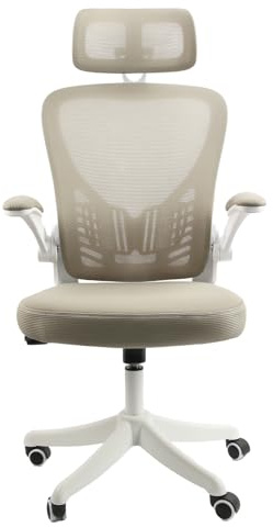 EOXCIIU Ergonomic Office Chair, 2D Adjustable Headrest, 90° Folded Armrest, Comfy Mesh Chair used for Home, Office, Conference Reception, Studio, White–Light Green