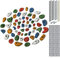 ALPIDEX 60 Klettergriffe | Inklusive Schrauben, Einschlagmuttern | Kletterfläche 4 – 8 m² | Griffgrößen L, M, S, XS | Komplettset | Klettern - Farbe:Mixed Coloured