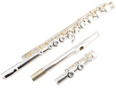 Flöte Linkshänder-Flöte Rückhand-Flöteninstrument für Linkshänder 16-Loch geschlossenes Loch versilbert