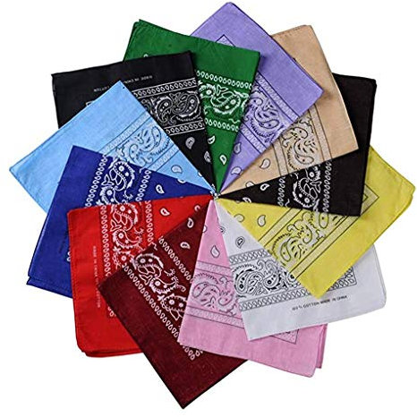 Topcosplay 6 Stück Paisley Bandana für Männer oder Frauen Stirnbänder 55,9 cm Baumwolle Taschentücher Armband Cowboy Halstuch Kopf Wrap (12 Stück)