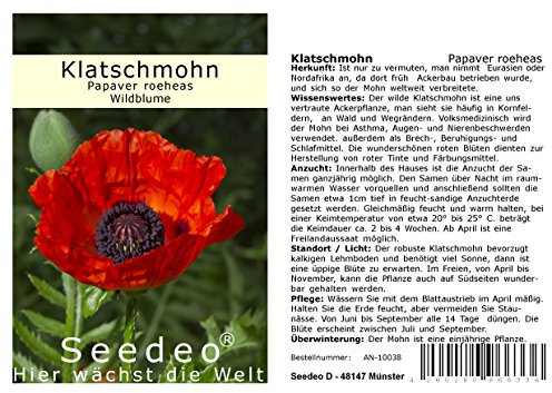 Seedeo® Klatschmohn (Papaver roeheas) 1000 Samen