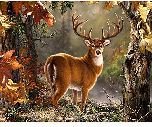 Yunden DIY 5d Diamant Peinture par numéro kit, Broderie Diamant kit Complet Full cerf Strass à broder au point de croix Arts Craft sur toile Décoration 40X30cm