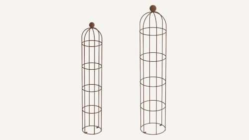 ELEO Rankobelisk Messina, Set rostoptik, 160x34 cm