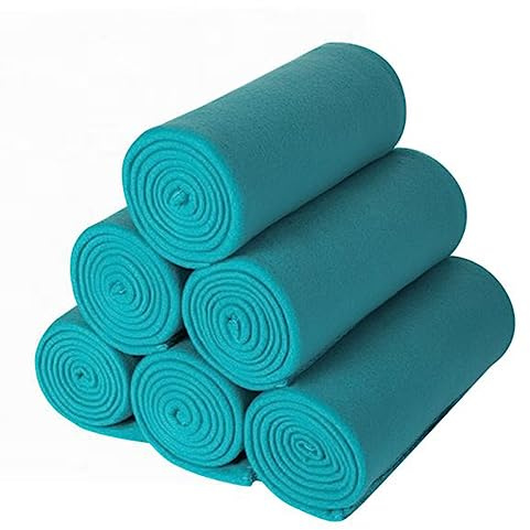 CAI TENG 6er Set Polar-Fleecedecke Tagesdecke 125 X 150 cm Kuscheldecke Oeko Tex Warm und Weich Reisedecke für Couch Blau