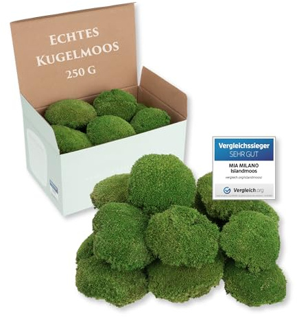 Mia Milano Kugelmoos konserviert | Echtes Bollenmoos für Moosbilder | Haltbares Moos zum Basteln | Wetterfestes naturgrünes Islandmoos (250g)