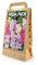 Mega Pack Gladiolus Pastel Colours Bulbs | 50 Mixed Summer Flowering Bulbs | Bee & Butterfly Friendly | Eco Packaging | Premium Holland Selection Quality