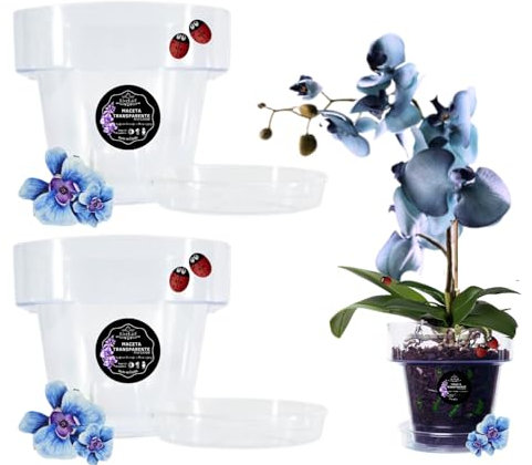 LiveLaif -2 pezzi Ø17 cm - 2 vaso orchidea trasparente + 2 piatto vaso | vasi di plastica | vasi per orchidee trasparenti | vaso orchidea | scegliere stile, dimensioni e unità