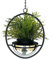 DanDiBo Blumenampel Metall Wand Hängepflanzen 96087 mit Topf Silber Pflanzenhänger Blumenhänger Topfhänger Blumen Blumentopfhänger Hängetopf (Höhe 43 cm)