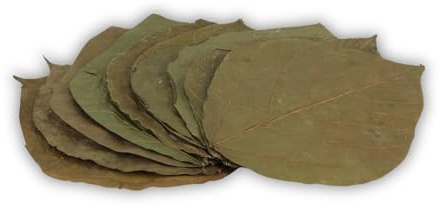 ProFlora® Dadap Blätter Aquarium - Organische Dadap-Leaves als natürliche Wasseraufbereiter und wertvolle Nahrungsergänzung (M, 10 Stück)