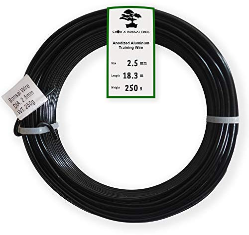 Grow A Bonsai Tree Eloxiertes Aluminium 2,5mm Bonsai Draht 250g große Rolle (60 Feet) - (2,5mm, Schwarz)