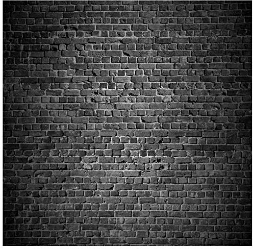 AIIKES 10x10FT Schwarz Backsteinmauer Fotografie Hintergrund Retro Portrait Shooting Geburtstagshintergrund 11-894