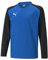 PUMA Unisex Kinder Teamliga Training Sweat Jr Sweater, Electric Blue Lemonade-Puma Black, 152