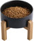 Addogyy Black Elevated/Raised Dog Bowl Ceramic with Wood Stand for Medium Large Breed,Dog Food Water Dish Heavy Wighted, Non Slip Modern Cute Porcelain Pet Bowl Extra Large