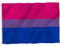 Bisexuelle Pride-Flagge, Polyester, bisexuelle Flagge, lebendige Farben, UV-beständig, doppelt genäht mit Messingösen, 90 x 150 cm, Wandverkleidung