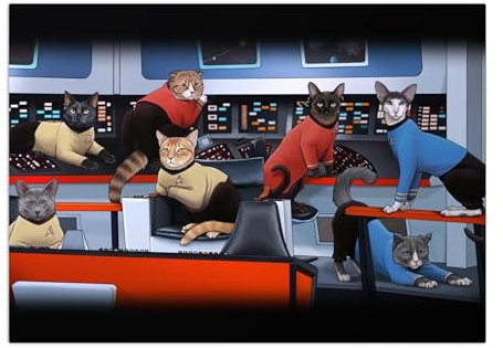 Displate Offiziell Star Trek MetallPoster Magnetische Befestigung Inklusive Lizenziert Bilder Hochwertiges Poster Star Trek Cats Star Trek Cats 16 Poster 45 cm x 32 cm