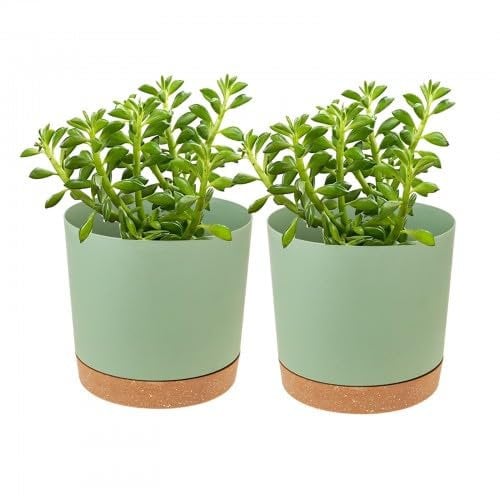 Duronge 2 Pot de Fleurs en Plastique, Pot De Fleurs pour Intérieur, 11cm Pots de Plantes avec Trous de Drainage et Base Amovible, pour Rebord de Fenêtre, Maison, Jardin
