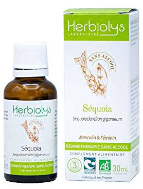 Macérât De Bourgeon Bio | Sans Alcool | Gemmothérapie | Flacon de 30 ml | Herbiolys (Sequoia)