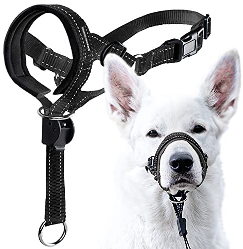 GoodBoy Dog Head Halter with Safety Strap - Stops Heavy Pulling On The Leash - Padded Headcollar for Small Medium and Large Dog Sizes - Head Collar Training Guide Included (Size 4, Black)