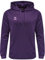 hummel Unisex Hmlcore Xk Poly Sweat Hoodie Sweatshirt, ACAI (ACAI), L