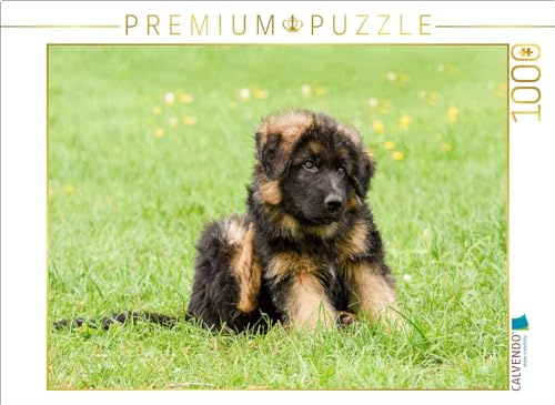 CALVENDO Puzzle Schäferhund - Welpe Rüde | 1000 Teile Lege-Größe 64 x 48 cm Foto-Puzzle für glückliche Stunden