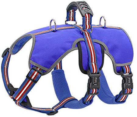 Didog Ausbruchsicheres Hundegeschirr, weich, atmungsaktiv, gepolstert und reflektierend,verstellbar, kein Ziehen, Hundegeschirr mit Hebegriff und doppelten Leinenclips, für mittelgroße und große Hunde