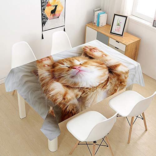 Oduo Tischdecke Wasserdicht Polyester Rechteckig, 3D-Katze Bedruckte Tischdecke Pflegeleicht Fleckschutz Ölfest Abwaschbar Outdoor Garten Deko Farbe & Größe Wählbar (Orangene Katze,100x140cm)