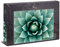 Ulmer Puzzleschmiede - Agave: Anspruchsvolles Pflanzen-Motiv als 1000 Teile Puzzle - Makro-Aufnahme Einer Agaven-Pflanze - Qualität Made in Germany