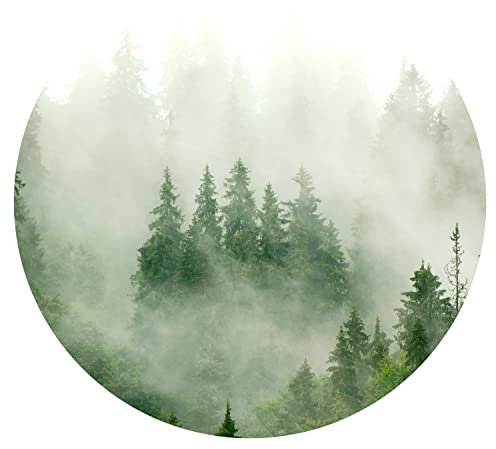 murando runde Fototapete selbstklebend Wald im Nebel 140x140 cm Tapeten Wandtapete XXL Moderne Wanddeko Design Wand Dekoration Wohnzimmer Schlafzimmer Büro Flur Natur Landschaft Bäume