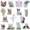 KXVXXV Lustige Magnete kühlschrank Tiere, 15 Stück Kühlschrankmagnete Magnete Katzen Kühlschrank Magnete Set Wiederverwendbar Magnetisches Vinyl