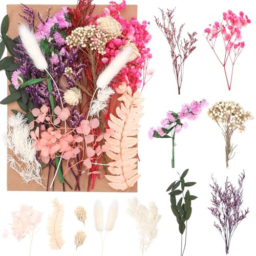 saerryor Natural Dried Flowers Set,Real Pressed Flowers for Scrapbooking DIY Candle Resin Jewelry Crafts Cakes Making Floral Decorations