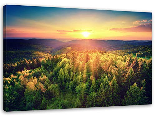 Feeby. Wandbild - 1 Teilig - 50x70 cm, Leinwand Bild Leinwandbilder Bilder Wandbilder Kunstdruck, SONNENUNTERGANG, WALD, NATUR, GRÜN, GELB