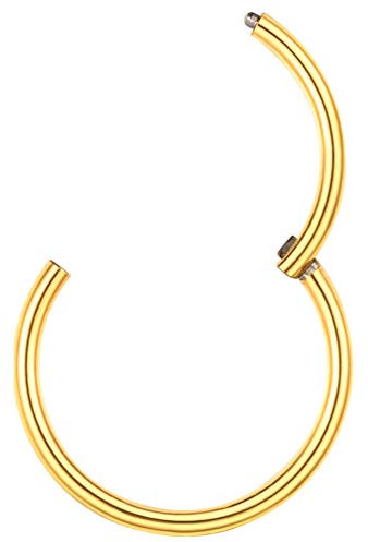 PROSTEEL 18k vergoldet Piercing Nase Septum Ohr Helix Tragus, 18 gauge 1mm Nasenring Septumring Helixring Conch Piercing Segmentring Fashion Körper Piercing Schmuck für Damen Herren