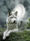 TWYYDP Puzzle De 1500 Pièces en Bois pour Adultes Lune Et Loup Accroupi Jeux Unisex