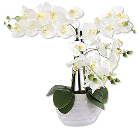 DARO DEKO Kunst-Pflanze Orchidee (ovaler Topf weiß Hochglanz und weiße Blüten 53cm)