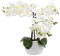 DARO DEKO Kunst-Pflanze Orchidee (ovaler Topf weiß Hochglanz und weiße Blüten 53cm)