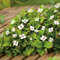 Garten Schlüter