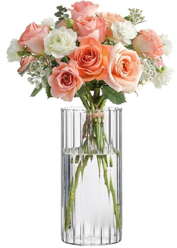 Vase cylindrique en Verre Transparent 15 cm – Petit Vase décoratif pour Fleurs, (20ml)