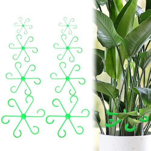 8Stück Pflanzenstütze Monstera Rankhilfe,Plant Supports Set Support Pflanzenhalter Garten Pflanzenstützen Climbing Pflanzen Stütze Stängelstütze Stützring für Gardening Moosstab Tomaten (Grün)