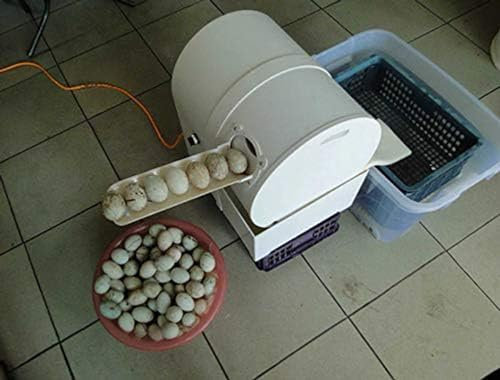 ALSUP Edelstahl Dampfgarer - Automatische Eierwaschmaschine mit Kartoffelwaschmaschine