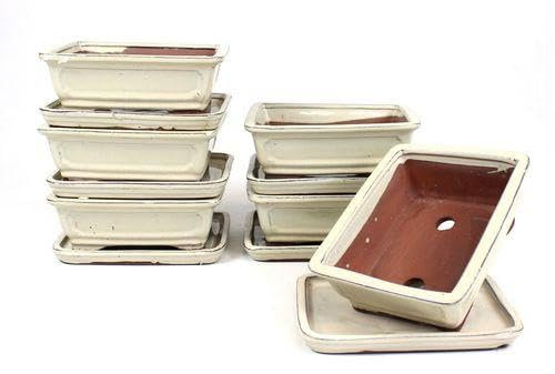 PLANETA HUERTO | Tiesto Bonsái Rectangular 20 cm con Plato Crema – Estilo Elegante y Funcional para Bonsáis Pequeños