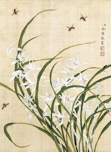 Bristlegrass Puzzle - Dinastia Qing cinese vecchio maestro Yu Zhi capolavori d'arte orchidea e ape | Puzzle da 1000 pezzi per adulti | Puzzle | Regali per adulti, compleanno puzzle di Natale (1000