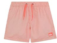 Quiksilver - Everyday Deluxe Volley 14 Boardshorts - Kind