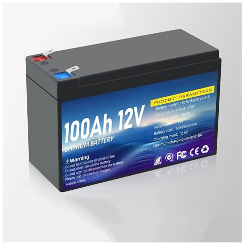 Batterie lithium 12 V 80 Ah, 100 Ah, 120 Ah, BMS, adaptée aux camping-cars, aux installations solaires, marines, au stockage d'énergie domestique, aux camping-cars, aux véhicules de loisirs et au ca