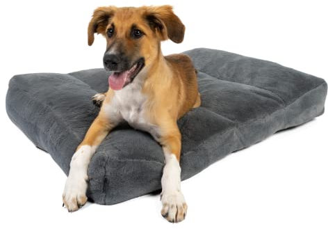 TrendPet Maya Ortho - Orthopädisches Hundebett (80x60cm)