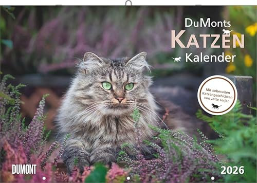 DUMONT - Katzenkalender 2026 – Broschürenkalender 42 x 29 cm mit 12 Katzenportraits, literarischen Geschichten & Schulferienterminen, Wandkalender für ... mit kurzweiligen Katzengeschichten