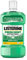 LISTERINE Fresh Mint (600 ml), antibakterielle Mundspülung mit ätherischen Ölen für einen frischen Atem