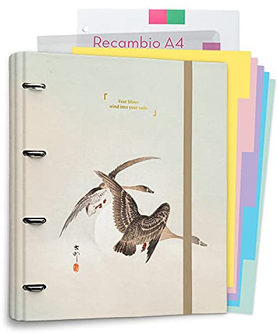 Grupo Erik Ringbuch A4 - Ringordner Japan - Ordner Set mit Trennblättern - Beige Trennblätter für Ordner A4