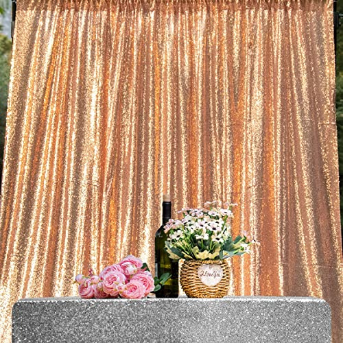 JYFLZQ Rideau de toile de fond à paillettes (3 x 3 m, or rose)