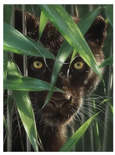 3D LiveLife Lenticular Wall Art Prints - Wild Eyes from Deluxebase Ungerahmtes 3D Panther Poster Ein perfekter Wandfüller Original-Kunstwerk lizenziert vom renommierten Künstler Collin Bogle